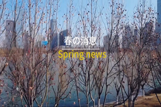 2026成长纪录片八十二