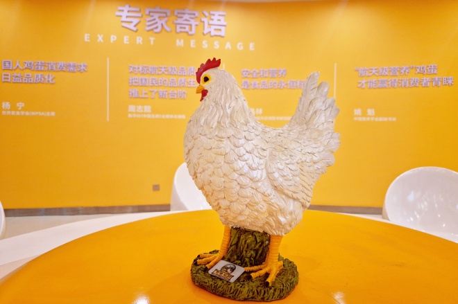 2026夏季异训纪录片二十六