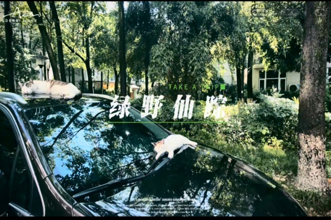 2026夏季异训纪录片四十二